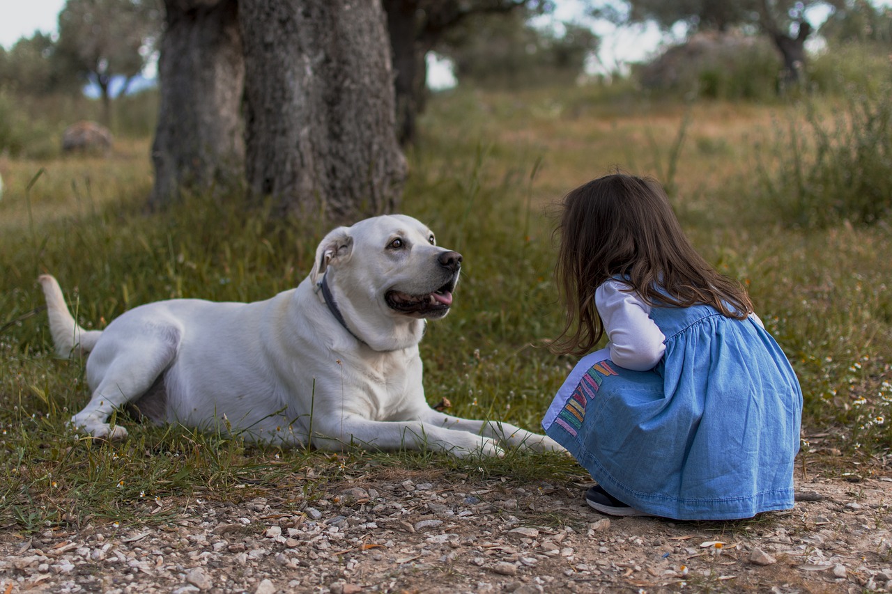 Jak przygotować psa do wizyty u weterynarza – porady dla stresowanych psów